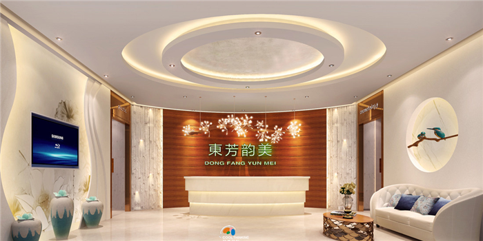 深圳整形醫(yī)療機構(gòu)設(shè)計 現(xiàn)代風格醫(yī)療美容裝修設(shè)計效果圖
