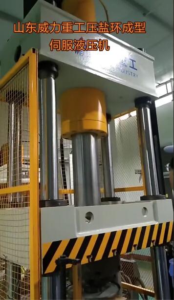 鹽環(huán)成型伺服液壓機